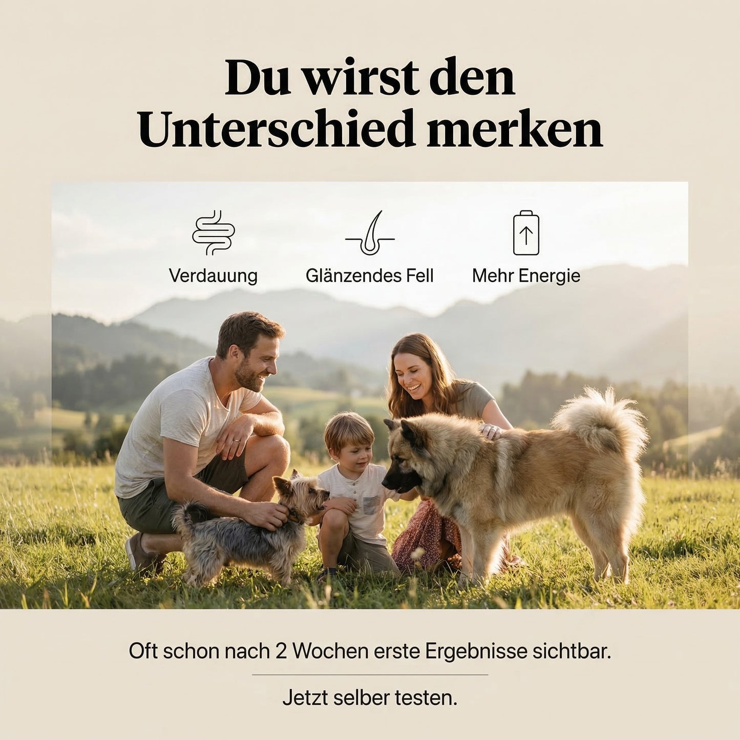 Kaninchen mit Pastinake, Spinat und Buchweizen